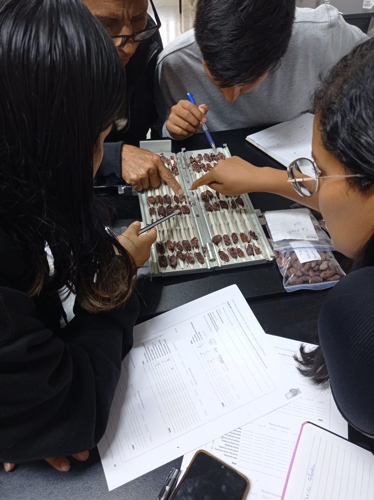 Eclosio_école de dégustation de cacao et de chocolat