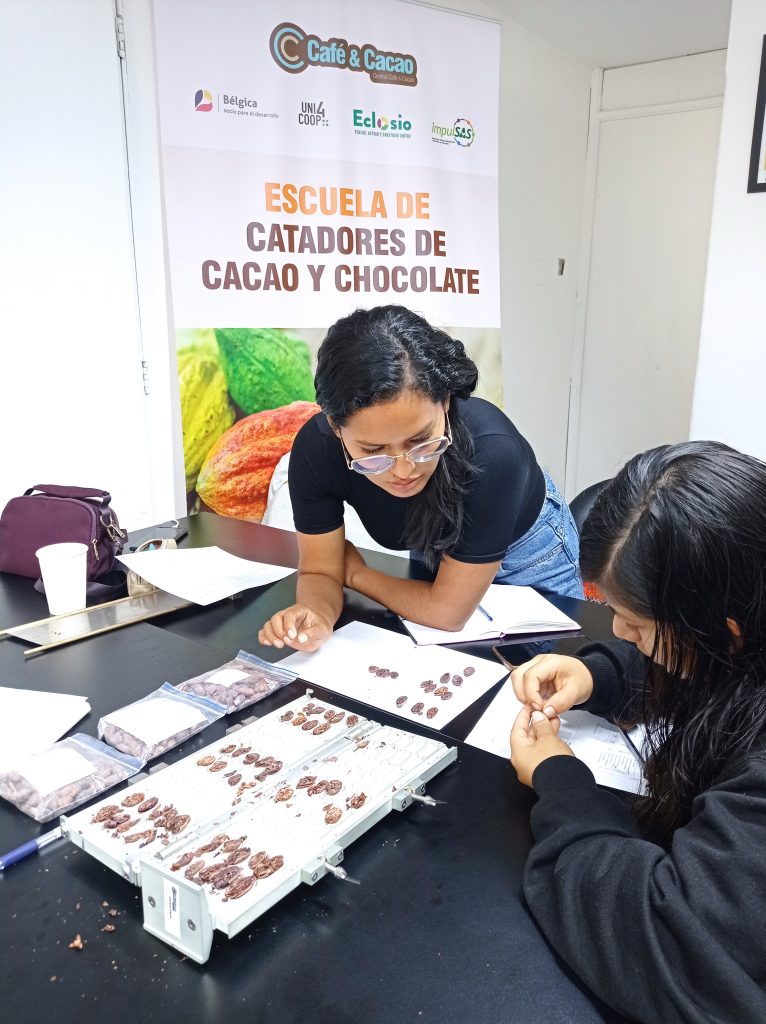 Eclosio_école de dégustation de cacao et de chocolat