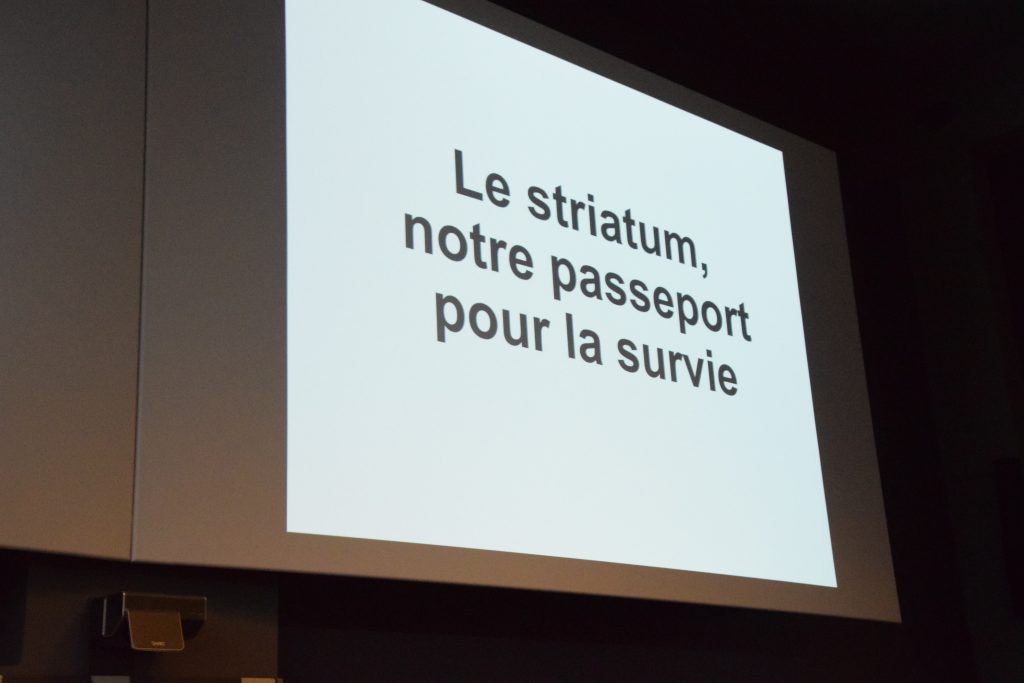 Conférence : « Notre cerveau nous pousse-t-il à détruire la planète? » à ULiège