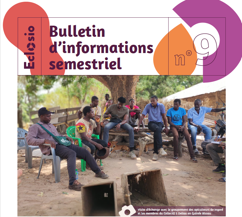 Photo de couverture du bulletin Afrique de l'Ouest n° 9