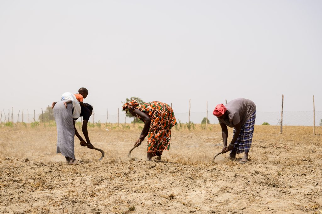 Eclosio_Femmes, terre et transition agroécologique